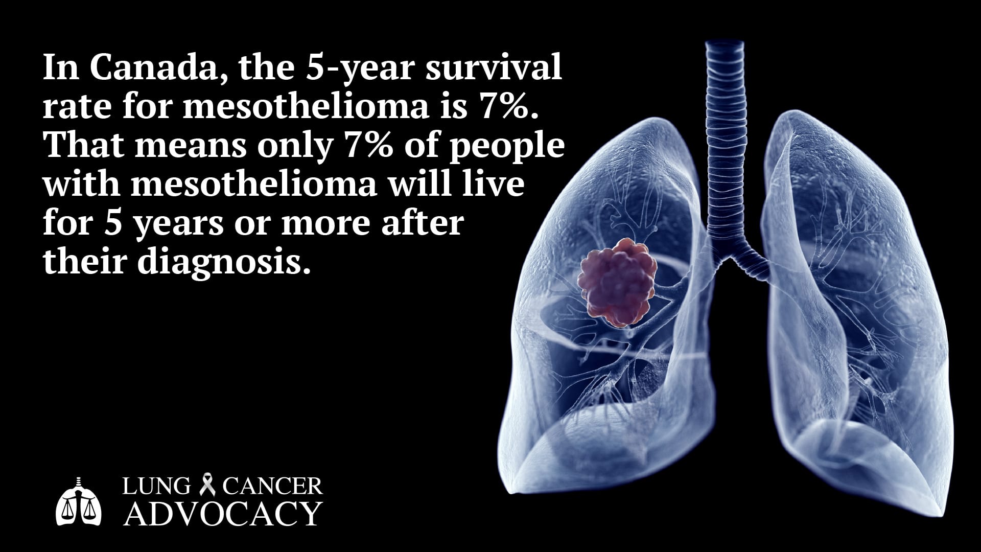 mesothelioma survival rate